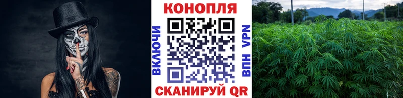 Где купить наркоту Заринск КОКАИН  АМФЕТАМИН  Галлюциногенные грибы  ГАШИШ 