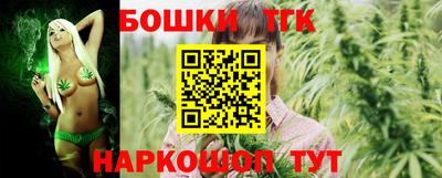 гашик Камышлов