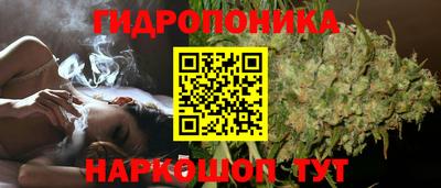 каннабис Кандалакша