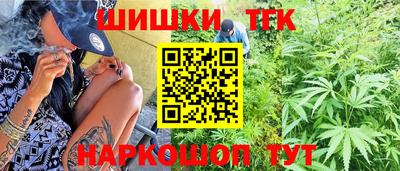 индика Будённовск