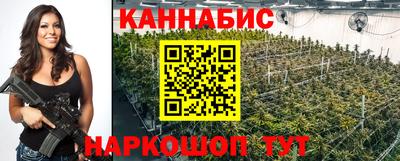 гашик Камышлов