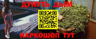 гашик Камышлов